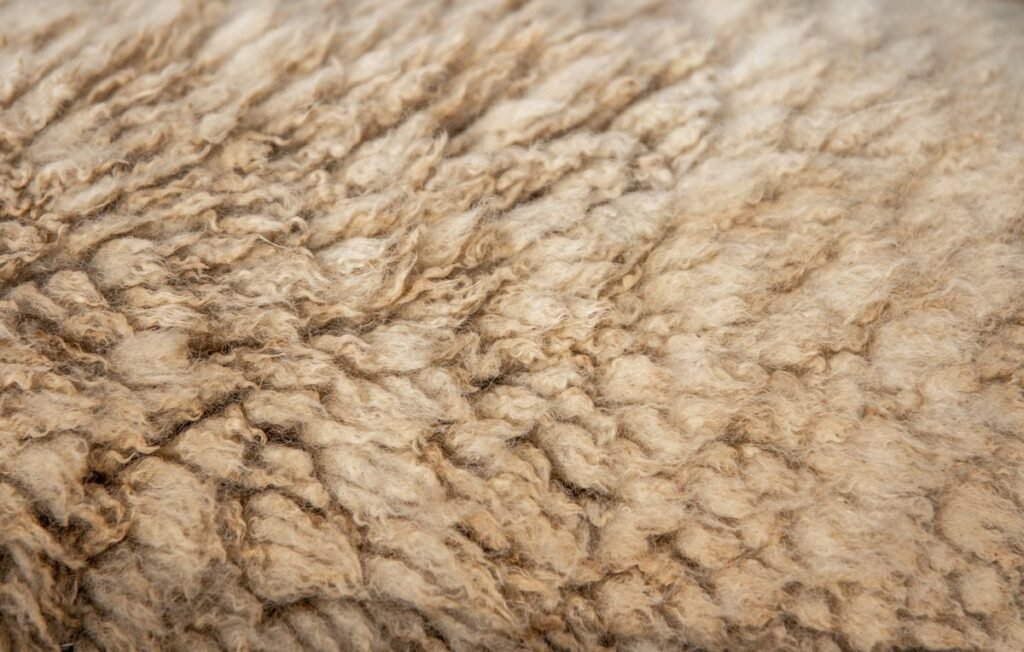 Close-up of natural cream-coloured wool fibres
